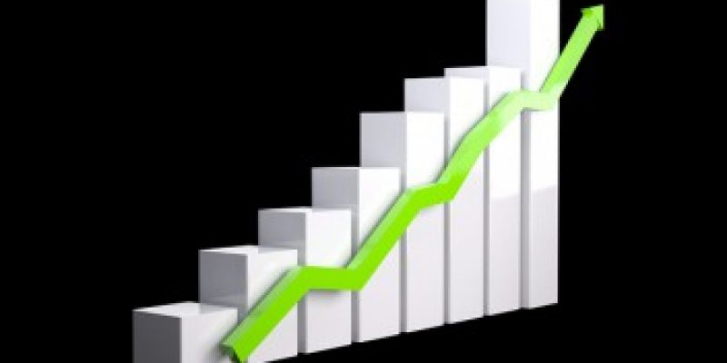 Actual Cougar Attacks On Humans – [In Numbers / Statistics]