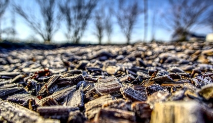 Does mulch attract termites? – Treating termites in mulch