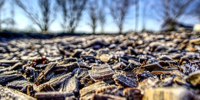 Does mulch attract termites? – Treating termites in mulch